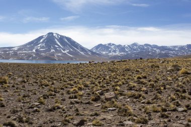 Photo taken at Miscanti lagoon national park in Chile