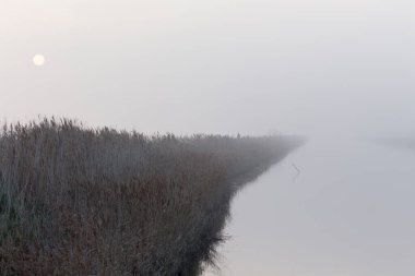 İtalya 'nın Comacchio gölünde su ve sis fotoğrafı.
