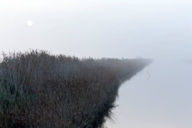 İtalya 'nın Comacchio gölünde su ve sis fotoğrafı.