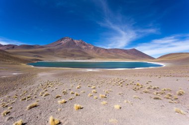 Vies of the highland lagoons Miscanti and Miniques in Chile