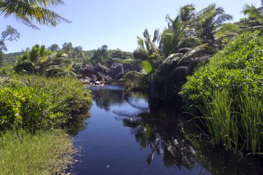 View of tropical landscape in Seychelles