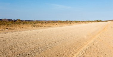 Namibya 'da çöl manzarası