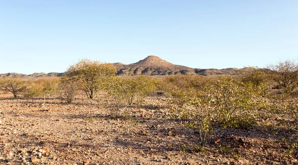 Utsikt Ørkenlandskap Namibia – stockfoto
