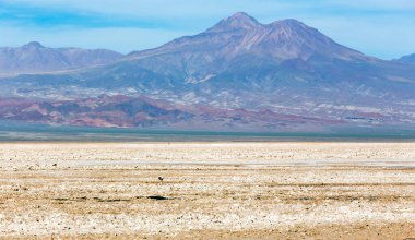 Şili 'nin kuzeyindeki Atacama halkının görüntüsü