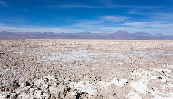 チリ北部のアタカマの塩の眺め — ストック写真