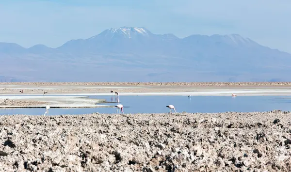Pohled Salar Atacama Severu Chile — Stock fotografie