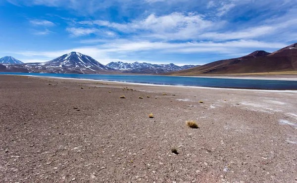 Şili Deki Miscanti Lagün Parkının Manzarası — Stok fotoğraf