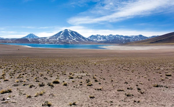 Şili Deki Miscanti Lagün Parkının Manzarası — Stok fotoğraf