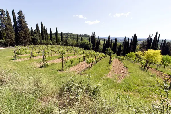 Uitzicht Het Landelijke Landschap Toscane — Stockfoto