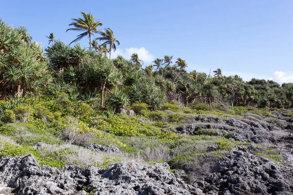Blick Auf Die Küste Neukaledonien — Stockfoto