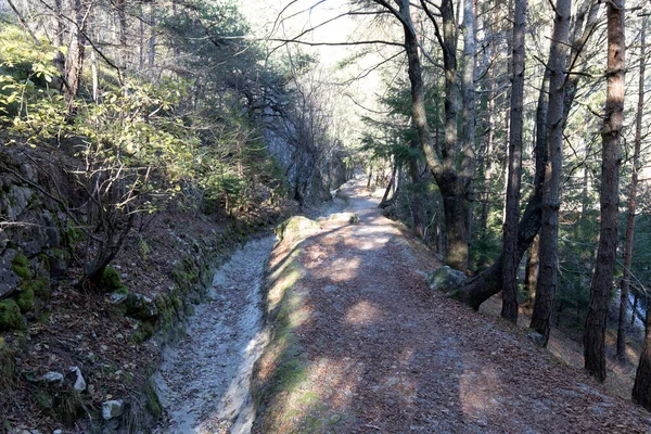 İtalya 'nın kuzeyinde, Molveno' da bir tren fotoğrafı.