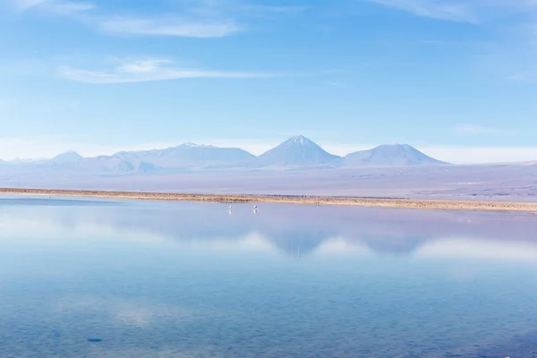 Veduta Della Laguna Chaxa Nel Nord Del Cile — Foto Stock