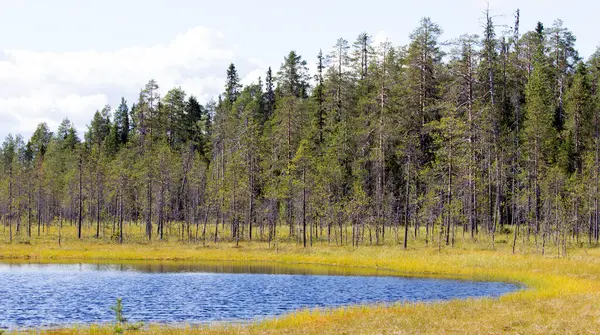 Вид Ландшафт Озерном Регионе Финляндии — стоковое фото