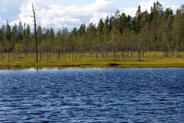 Vista Paisagem Região Lago Finlândia — Fotografia de Stock