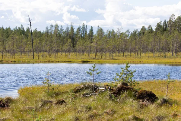 Pohled Krajinu Jezerní Oblasti Finska — Stock fotografie