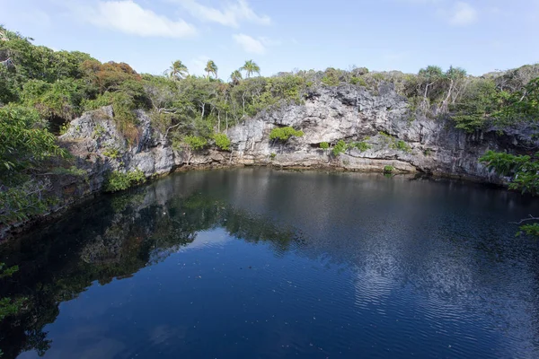 Photo Turtle Hole Sur Île Ouvea Nouvelle Calédonie — Photo