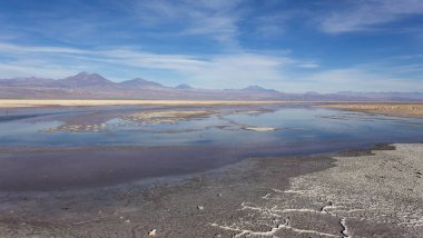 Şili 'nin kuzeyindeki Chaxa gölünün manzarası