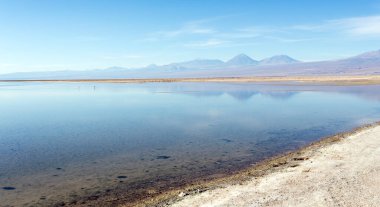 Şili 'nin kuzeyindeki Chaxa gölünün manzarası