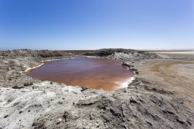 Namibya 'daki Walvis Körfezi' ndeki Pembe Göl Manzarası