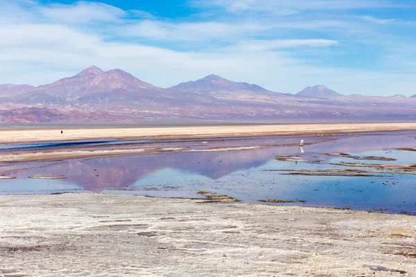 チリ北部のチャクサ ラグーンの眺め — ストック写真