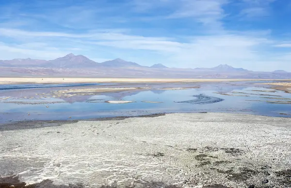Pohled Lagunu Chaxa Severu Chile — Stock fotografie