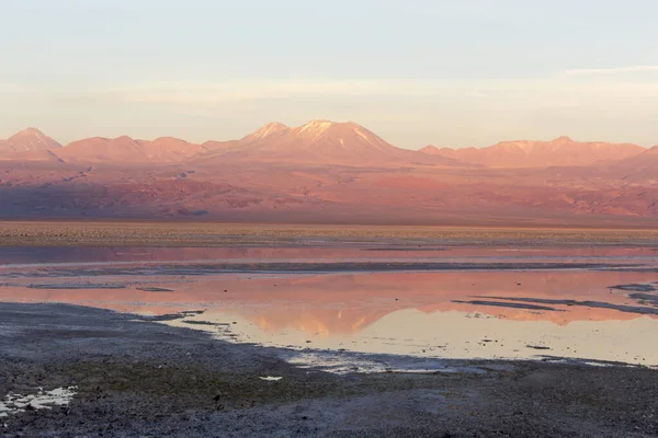Vue Lagune Chaxa Nord Chili — Photo