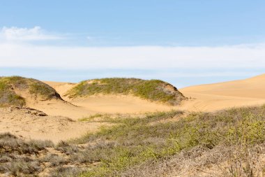 Namibya 'da çöl manzarası