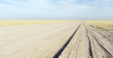 Namibya 'da çöl manzarası