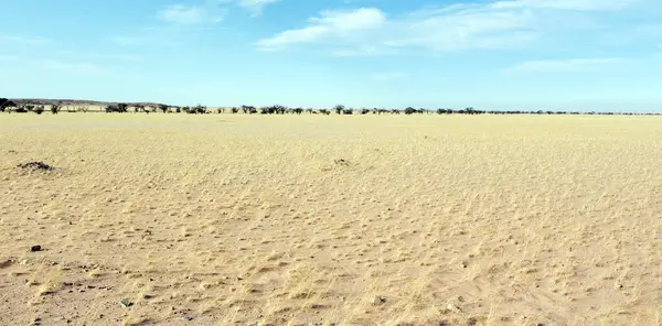 Άποψη Ενός Τοπίου Της Ερήμου Στη Ναμίμπια — Φωτογραφία Αρχείου