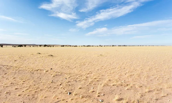 Vista Paisaje Desierto Namibia — Foto de Stock