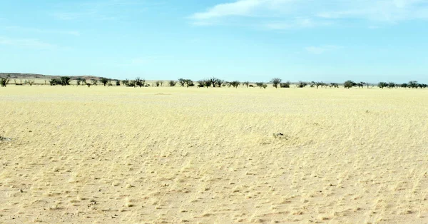 Utsikt Ørkenlandskap Namibia – stockfoto