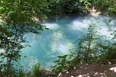 Elsa nehir yolu boyunca su manzarası veya SentierElsa, İtalya