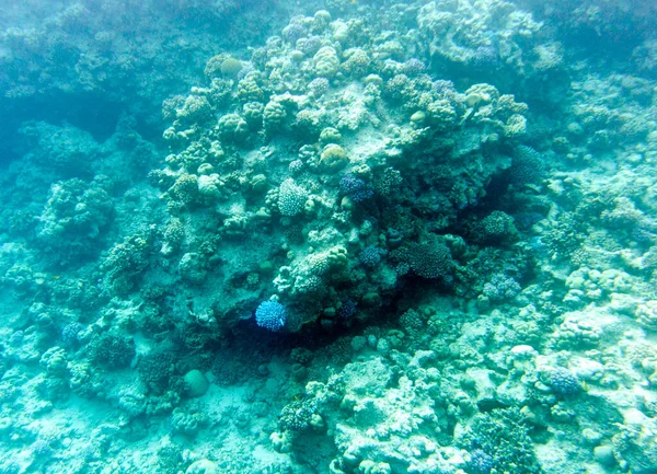 Över Koraller Sharm Sheik Egypten — Stockfoto