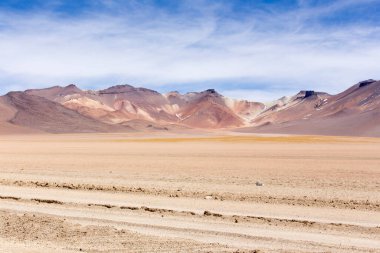 Bolivya 'daki güzel Dali çölü manzarası