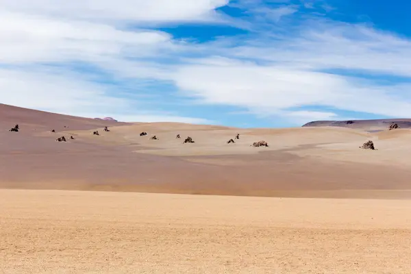 Bela Paisagem Deserto Dali Bolívia — Fotografia de Stock
