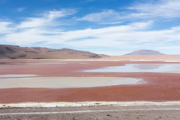 Ein Schöner Blick Auf Die Lagunenlandschaft Bolivien — Stockfoto