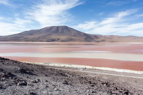 Een Mooi Uitzicht Het Lagunelandschap Bolivia — Stockfoto