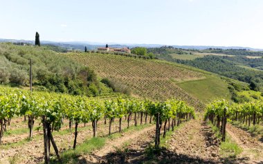 San Gimignano, İtalya - 30 Mayıs 2021: San Gimignano 'daki kır manzarası