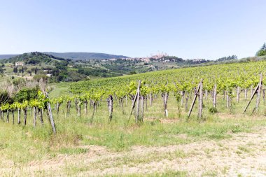 San Gimignano, İtalya - 30 Mayıs 2021: San Gimignano 'daki kır manzarası