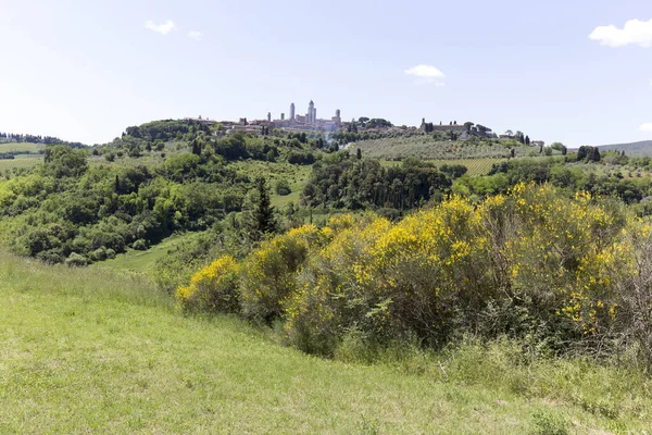 San Gimignano Italia Maggio 2021 Veduta Del Paesaggio Rurale San — Foto Stock