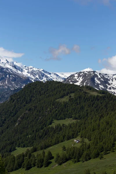 Uitzicht Het Landschap Tijdens Zomer Aosta Vallei Italië — Stockfoto