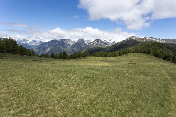 Vista Paisagem Verão Vale Aosta Itália — Fotografia de Stock