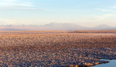 Şili 'de günbatımında Chaxa gölünün manzarası