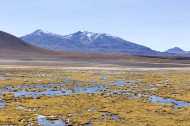 Şili 'nin kuzeyindeki El Tatio bölgesinde manzara
