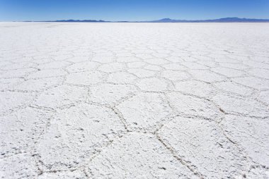 Uyuni, Bolivya 'da tuz düzlüğü manzarası