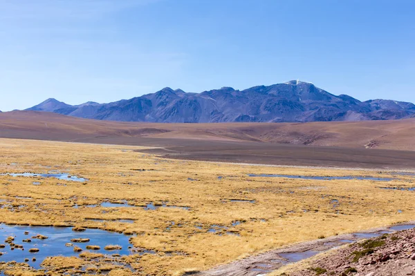 Landschap Van Tatio Het Noorden Van Chili — Stockfoto