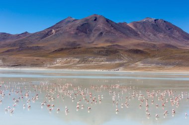 Bolivya 'daki göl manzarası