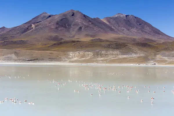 Ein Blick Auf Die Lagunenlandschaft Bolivien — Stockfoto