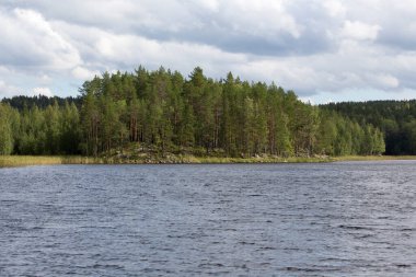 Finlandiya 'da göl bölgesinin manzarası