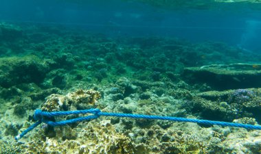 Mısır 'daki mercan resiflerinde kötü bir halat kullanmanın görüntüsü